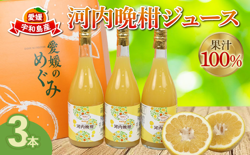 果汁100% 河内晩柑 ストレートジュース 720ml 3本 矢野青果 100％ みかん ジュース みかんジュース かわちばんかん 晩柑 果汁 飲料 飲み物 果物 くだもの フルーツ さっぱり 蜜柑 mikan ギフト 産地直送 数量限定 国産 愛媛 宇和島 H010-171015