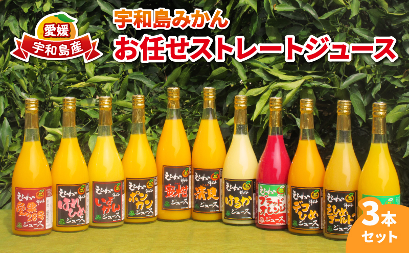 みかんジュース 宇和島みかん お任せ ストレート ジュース 3本セット ワールドファーマーズ 果汁 飲料 柑橘 みかん 蜜柑 mikan 愛媛みかん 愛媛蜜柑 みかんジュース 100%ジュース 果物 くだもの フルーツ 産地直送 数量限定 国産 愛媛 宇和島 H012-024016