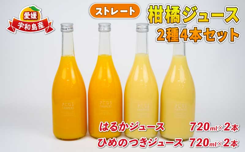 みかんジュース 果汁100% ストレート 柑橘ジュース 2種 720ml × 4本セット つばさ農園 ジュース 飲料 柑橘 みかん 蜜柑 はるか ひめのつき ストレートジュース 100%ジュース 果物 くだもの mikan 愛媛みかん 愛媛蜜柑 フルーツ 数量限定 国産 愛媛 宇和島 H012-048018