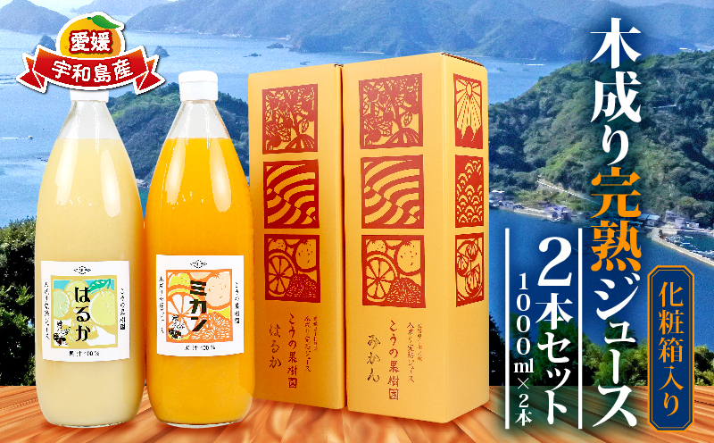 完熟 みかんジュース 化粧箱入り 木成り 2本セット 1000ml×2本 こうの果樹園 みかん ジュース ストレート ストレートジュース 100%ジュース 果汁 飲料 フルーツ 100％ 甘い さっぱり 蜜柑 ギフト 産地直送 数量限定 国産 愛媛 宇和島 H012-182001