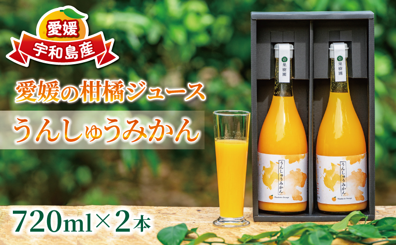 愛媛 の 柑橘 ジュース 720ml 2本 セット 壱果樹園 先行予約 みかん 温州みかん ストレートジュース 100% 果汁 飲料 ギフト 果物 フルーツ 国産 愛媛 宇和島 H015-141001