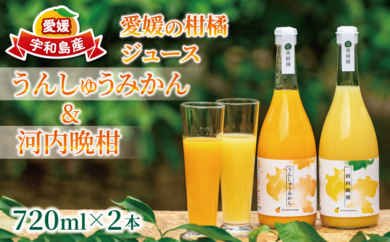愛媛 の 柑橘 ジュース 720ml 2本 セット 壱果樹園 先行予約 みかん 河内晩柑 温州 ストレートジュース 100% 果汁 飲料 オレンジジュース 国産 愛媛 宇和島 H015-141002