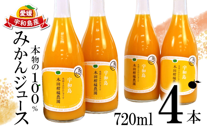みかんジュース 本物の100％みかんジュース 720ml × 4本 木田柑橘農園 南柑20号 温州みかん 温州蜜柑 みかん mikan ストレート オレンジ 果汁100％ ストレートジュース 果物 くだもの フルーツ ギフト プレゼント 国産 愛媛 宇和島 H015-185004