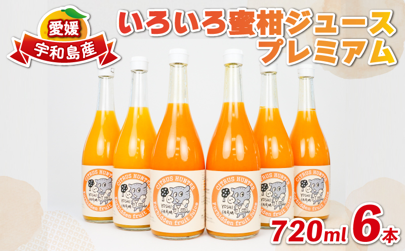 100%ジュース いろいろ 蜜柑 ジュース プレミアム 720ml ×6本 ヨシファーム 先行予約 フルーツジュース ストレートジュース ストレート みかんジュース 蜜柑 mikan 100％ジュース 果汁 100％ 飲料 柑橘 果物 フルーツ 農家直送 産地直送 数量限定 国産 愛媛 宇和島 H018-067005