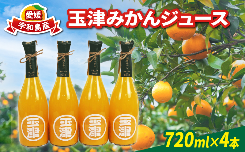 玉津 みかんジュース 温州みかん 720ml× 4本 玉津柑橘倶楽部 先行予約 100％ジュース ストレートジュース ジュース 愛媛みかん 愛媛蜜柑 愛媛ミカン うんしゅう みかん mikan 果物 フルーツ 柑橘 濃厚 甘い 甘味 蜜柑 産地直送 数量限定 国産 愛媛 宇和島 H018-072050