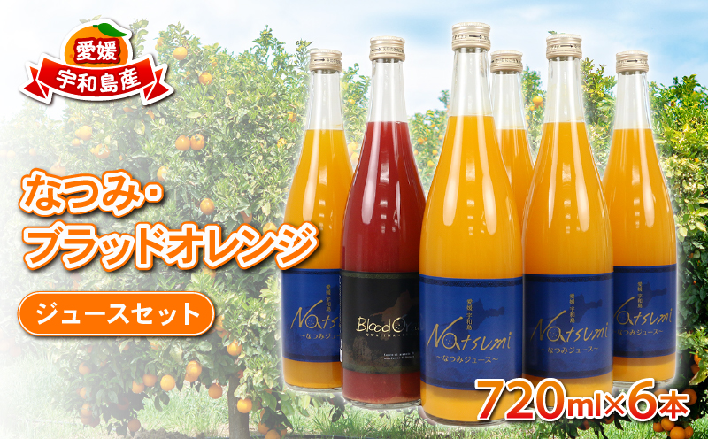 【果汁100%】みかんジュース なつみ ブラッドオレンジ セット 720ml×6本 えひめ南農業協同組合直販センター JA 蜜柑 mikan H020-009009