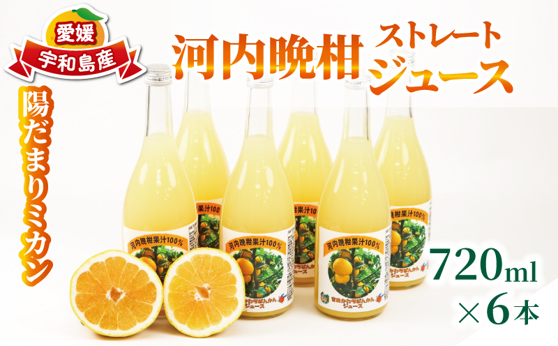 河内晩柑 ストレートジュース 720ml × 6本 陽だまりミカン みかんジュース みかん 蜜柑 mikan フルーツ ジュース 果汁 100% 焼酎割り ソーダ割り 家呑み 飲料 果物 くだもの 国産 愛媛 宇和島 H024-050009