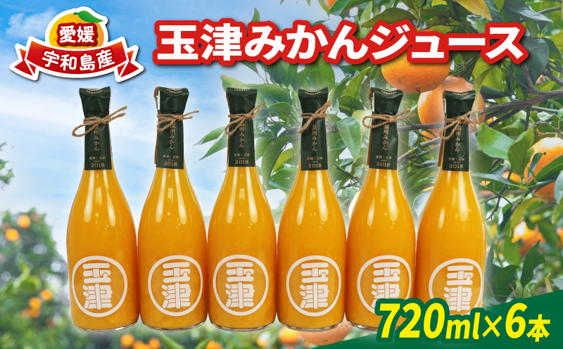 玉津 みかんジュース 温州みかん 720ml× 6本 玉津柑橘倶楽部 先行予約 100％ジュース ストレートジュース ジュース 愛媛みかん 愛媛蜜柑 愛媛ミカン うんしゅう みかん mikan 果物 フルーツ 柑橘 濃厚 甘い 甘味 蜜柑 産地直送 数量限定 国産 愛媛 宇和島 H024-072051