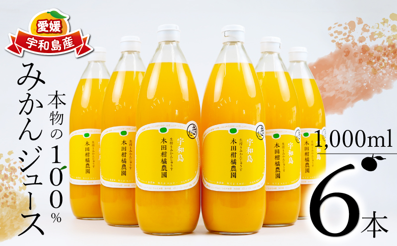 みかんジュース 本物の100％みかんジュース 1,000ml × 6本 木田柑橘農園 先行予約 南柑20号 温州みかん 温州蜜柑 みかん mikan ストレート オレンジ 果汁100％  ジュース 果汁 果物 くだもの フルーツ  ギフト プレゼント 国産 愛媛 宇和島 H025-185002