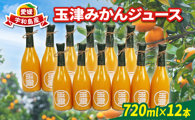 玉津 みかんジュース 温州みかん 720ml× 12本 玉津柑橘倶楽部 先行予約 100％ジュース ストレートジュース ジュース 愛媛みかん 愛媛蜜柑 愛媛ミカン うんしゅう みかん mikan 果物 フルーツ 柑橘 濃厚 甘い 甘味 蜜柑 産地直送 数量限定 国産 愛媛 宇和島 H040-072052