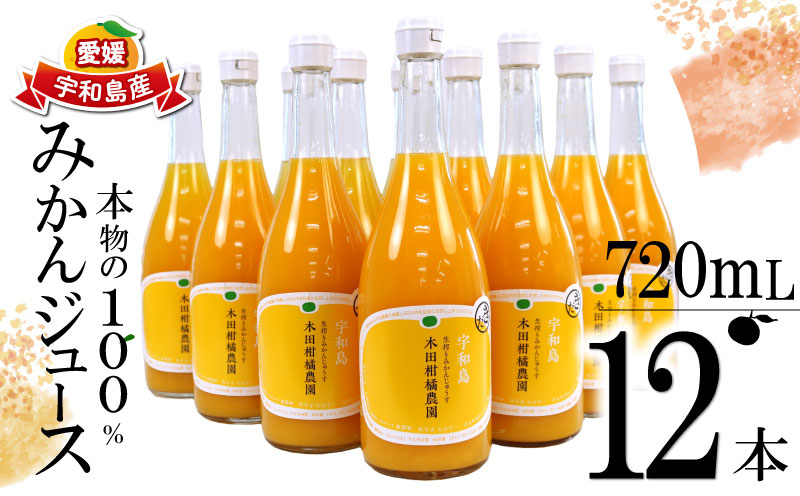 みかんジュース 本物の100％みかんジュース 720ml × 12本 木田柑橘農園 南柑20号 温州みかん 温州蜜柑 みかん mikan ストレート オレンジ 果汁100％ ストレートジュース 果物 くだもの フルーツ ギフト プレゼント 国産 愛媛 宇和島 H042-185006