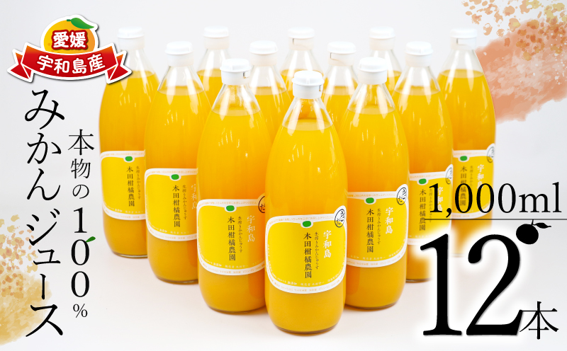 みかんジュース 本物の100％みかんジュース 1,000ml × 12本 木田柑橘農園 先行予約 南柑20号 温州みかん 温州蜜柑 みかん mikan ストレート オレンジ 果汁100％  ジュース 果汁 果物 くだもの フルーツ  ギフト プレゼント 国産 愛媛 宇和島 H048-185003