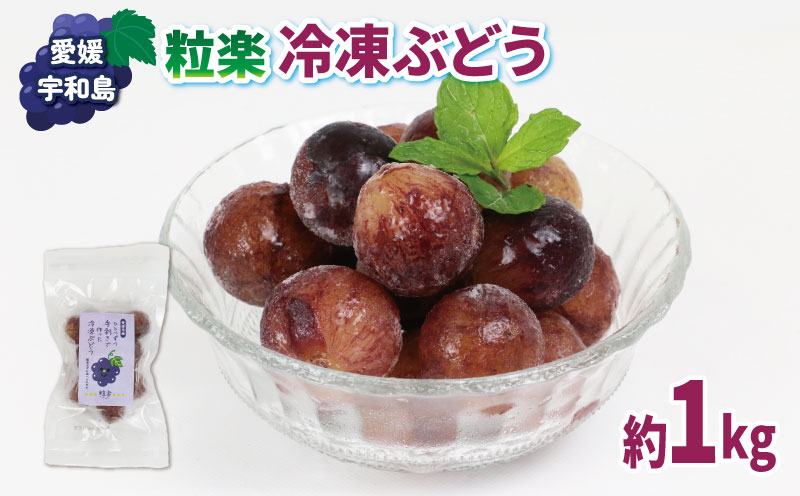 冷凍 ぶどう 1kg (100g 10袋) 粒楽 南四国ファーム シャーベット スムージー ジャム スイーツ デザート 葡萄 種無し フローズン 果物 フルーツ 国産 愛媛 宇和島 J010-035015