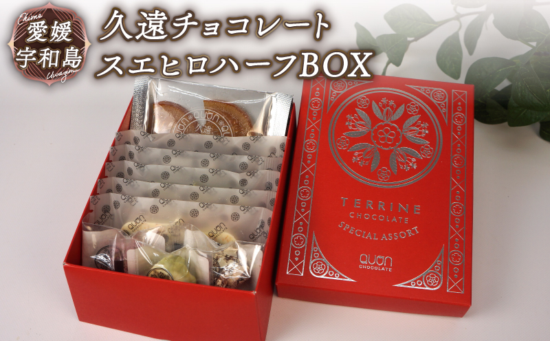チョコ セット 久遠チョコレート スエヒロハーフBOX テリーヌ ロッシェ オランジェ おまかせ ちょこ ちょこれーと チョコ チョコレート ドライフルーツ フルーツ 果物 くだもの 洋菓子 菓子 焼き菓子 おやつ ギフト プレゼント 愛媛 宇和島 J010-167001