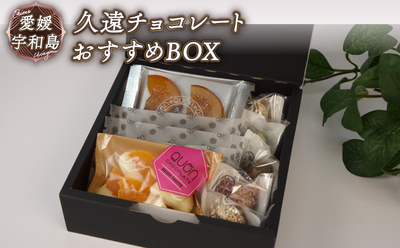 チョコ セット 久遠チョコレート おすすめBOX テリーヌ ロッシェ フルーツミニ オランジェ おまかせ チョコ チョコレート フルーツ 焼き菓子 洋菓子 菓子 お菓子 スイーツ ギフト プレゼント 詰め合わせ  愛媛 宇和島 J010-167004