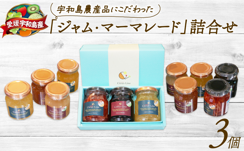 ジャム マーマレード 詰め合わせ 130g ×3個 Citrus-Line 食べ比べ セット 果物 くだもの フルーツ 手づくり 金賞 柑橘 みかん 蜜柑 パン ヨーグルト 贈答 プレゼント ギフト 数量限定 国産 愛媛 宇和島 J012-098001