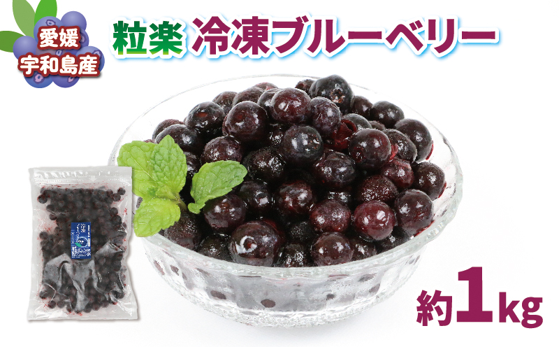 冷凍 ブルーベリー 500g 2袋 計1kg 粒楽 南四国ファーム 冷凍果実 果物 スムージー  お取り寄せ 自宅用  冷凍ブルーベリー フルーツ 国産 愛媛 宇和島 J013-035014