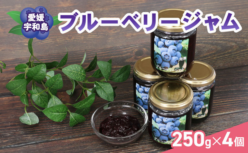 ブルーベリー ジャム 自家製 250g ×4個 計1kg 夢萬開 ブルーベリージャム berry 手作り 瓶 果物 くだもの フルーツ デザート ポリフェノール パン 朝食 ヨーグルト アイス お菓子 おすすめ アレンジ 農家直送 産地直送 数量限定 国産 愛媛 宇和島 J015-105002