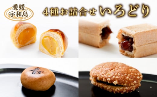 和菓子 4種 詰合せ セット 「いろどり」 御粽司 百波 最中 モナカ 大番 粒栗 蜜六 セット あんこ anko 小豆 栗 くり 栗饅頭 栗まんじゅう 蜜饅頭 饅頭 老舗 和菓子屋 郷土菓子 和菓子 詰め合わせ 菓子 銘菓 名物 数量限定 国産 愛媛 宇和島 J015-163003