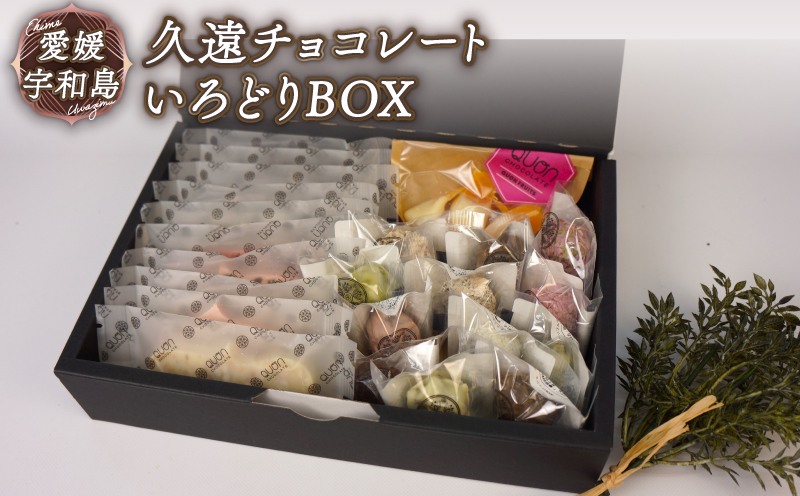 チョコ セット 久遠チョコレート いろどりBOX テリーヌ ロッシェ おまかせ チョコ チョコレート フルーツ 焼き菓子 洋菓子 菓子 お菓子 スイーツ 甘い ギフト プレゼント 愛媛 宇和島 J020-167003