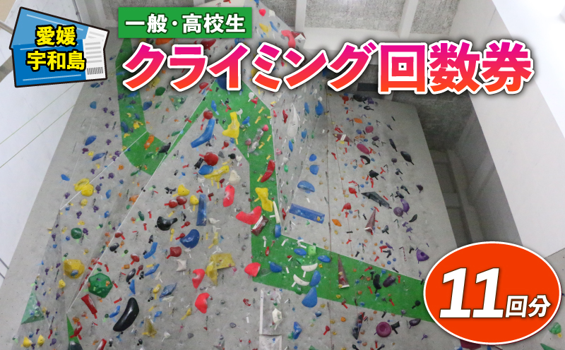 クライミング ボルダリング 回数券 11回分 一般 高校生 宇和島市スポーツ交流センター ロープクライミング チケット スポーツ 体験 アクティビティ オリンピック 山 岩 石 山岳 登山 家族 子供 子ども 愛媛 宇和島 L011-184001
