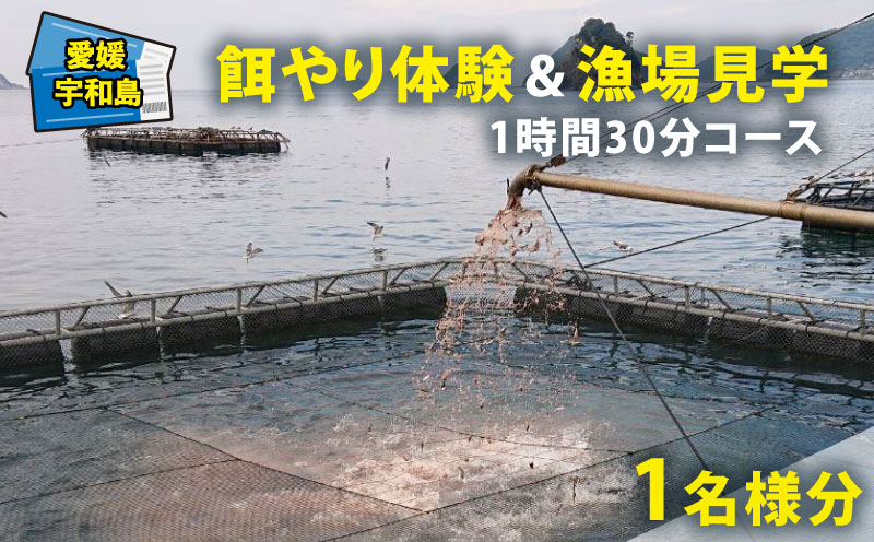 体験 餌やり 漁場 見学 チケット 1時間30分 コース 魚類養殖現場 AI 餌やり 体験 ＆ 漁場 見学 こもこもShop 給餌 自由研究 思い出 アクティビティ アウトドア 観光 旅行 魚 海鮮 魚介 愛媛 宇和島 L020-186009