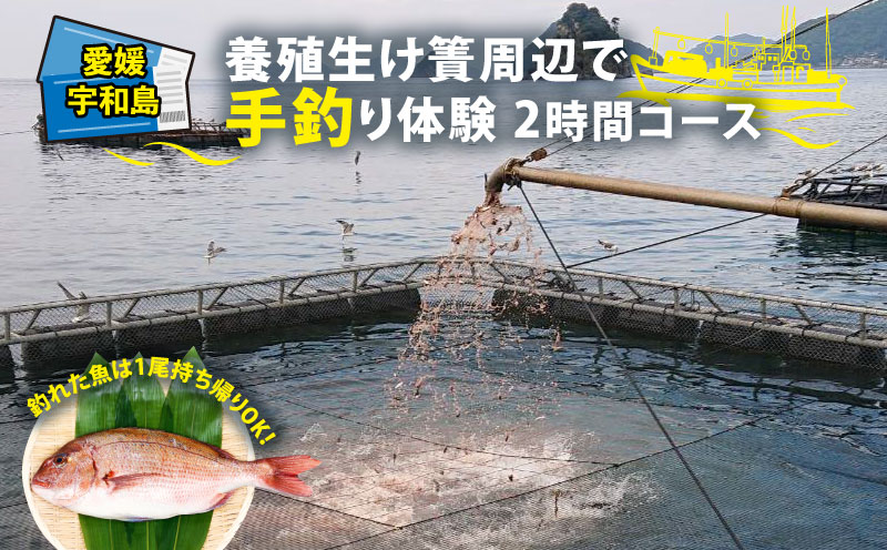 手 釣り 体験 チケット 養殖生け簀周辺で 手釣り 体験 2時間 コース こもこもShop 養殖場 船 魚 1尾 持ち帰り 体験 つり アクティビティ アウトドア フィッシング 観光 旅行 魚 海鮮 魚介 愛媛 宇和島 L040-186003