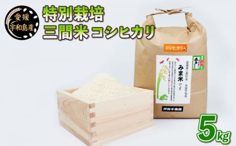特別栽培 三間米 コシヒカリ 5kg 伊勢本農園 米 ごはん 国産 愛媛 宇和島