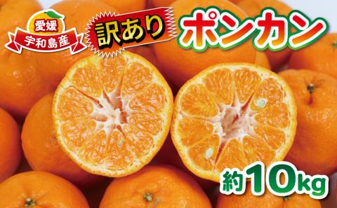 訳あり ポンカン 10kg 大田農園 果物 フルーツ 柑橘 みかん 国産 愛媛 宇和島