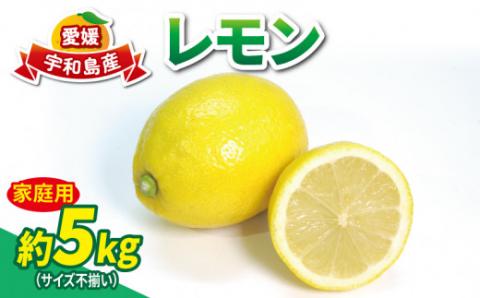 レモン 5kg 家庭用 L~3L サイズ ミックス マル南フルーツ 果物 フルーツ 柑橘 国産 愛媛 宇和島