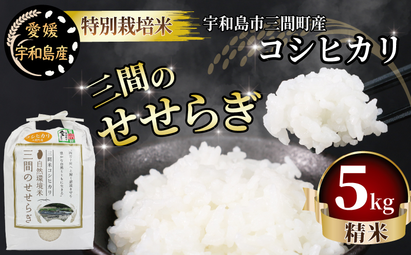 特別栽培米 コシヒカリ 計 10kg 令和6年度産新米 三間町特別栽培米生産組合 美沼姫 新米 お弁当 おにぎり 玄米 対応可 ふっくら ツヤツヤ  甘い 三間米 米 国産 愛媛 宇和島 G018-032001: 宇和島市ANAのふるさと納税