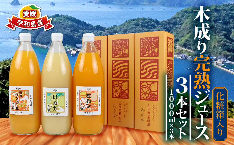 ＼10営業日以内発送/ 完熟 みかんジュース 化粧箱入り 木成り 3本セット 1000ml×3本 こうの果樹園 みかん ジュース ストレート ストレートジュース 100%ジュース 果汁 飲料 フルーツ 100% 甘い さっぱり 蜜柑 ギフト 産地直送 数量限定 国産 愛媛 宇和島