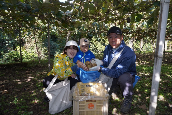 キウイ 2kg 愛媛 国産キウイフルーツ ヘイワード 先行予約 【2026年11月から順次発送予定】 数量限定 伊予市｜A20