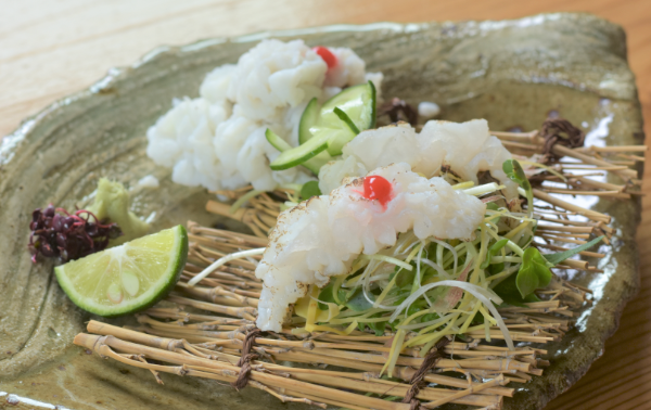 【期間限定】活〆鱧（ハモ）短冊500ｇセット 冷蔵 船上活締め 鱧ちり鍋 北風鮮魚 愛媛県 伊予市|B101