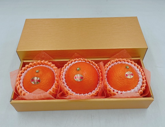 【2025年11月下旬から順次発送】みかん 愛媛 愛媛県産 紅まどんな 赤秀 3個入り 人気 数量限定 柑橘 伊予市｜B123