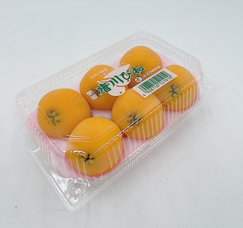 びわ 唐川びわ 先行予約 350g×6パック入り【2026年5月下旬以降発送】｜B124