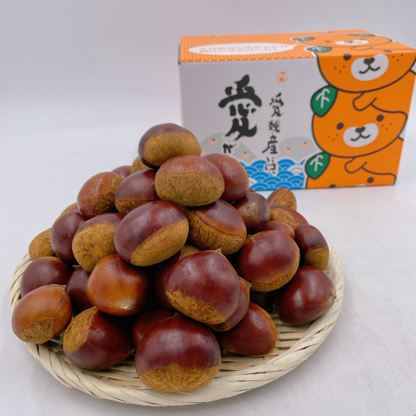 中山栗 L～4Lサイズ 3kg 愛媛県ブランド 大粒 濃厚な甘み ホクホク 焼き栗 栗ごはん 中山町 伊予市 愛媛 | B158