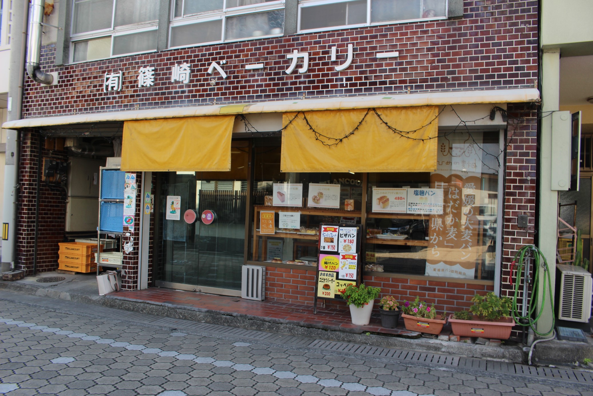 食パン 無添加 5本 六山 篠崎ベーカリー ミニサイズ 伊予市 老舗 ミニブレッド | B166