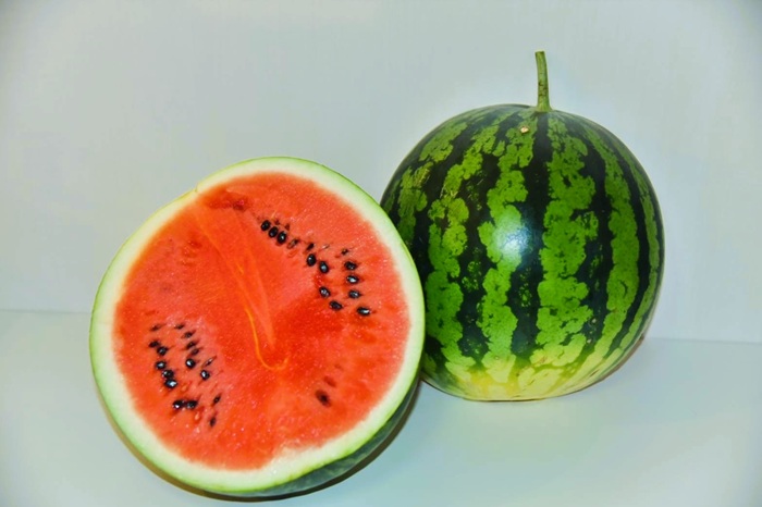 すいか 中山 大玉 スイカ 赤尾の山すいか 双海 約10kg 1玉 赤尾農園 農園直送 先行予約 令和7年産｜B177