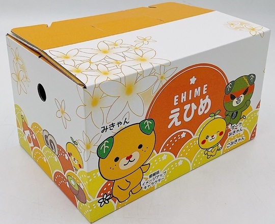 みかん 愛媛 せとか（約2.5kg）L～3Lサイズ ご家庭用 バラ詰め 【2月中旬から順次発送予定】 人気 数量限定 先行予約 みきゃん箱 柑橘 伊予市｜B192