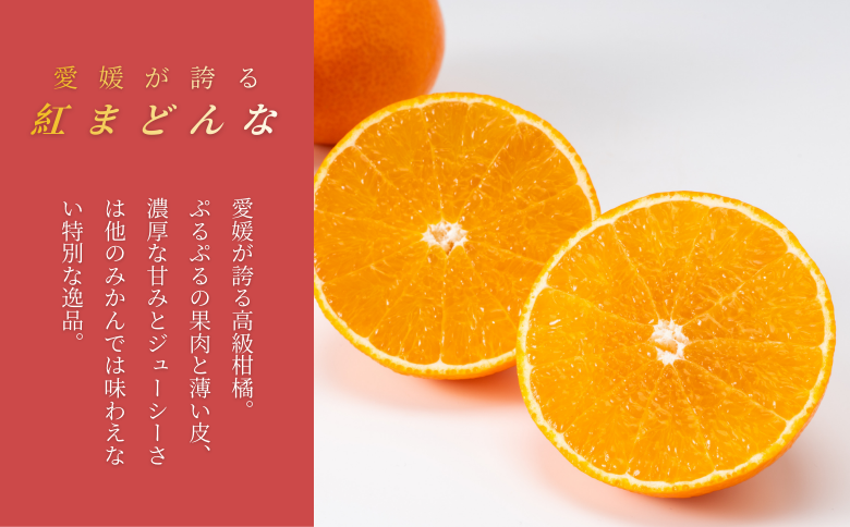 紅まどんな 1.5kg (5～13個) ご家庭用 愛媛みかん 愛果28号 紅マドンナ まどんな マドンナ みかん ミカン 蜜柑 果物 くだもの フルーツ 柑橘 かんきつ 柑橘類 愛媛果試第28号 あいか おすすめ 人気 自宅用 お取り寄せ 国産 愛媛 伊予市 【先行予約】 【数量限定】 ＜2025年11月下旬～順次発送＞｜B249