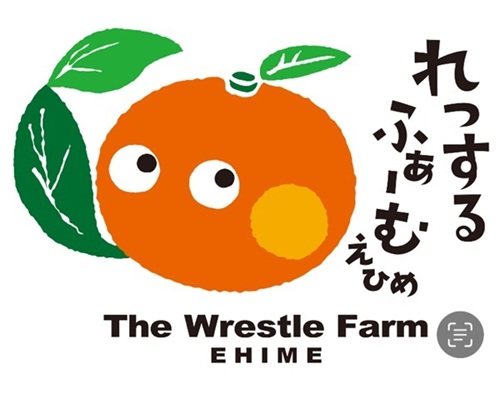 愛果28号 5kg ご家庭用 訳あり レッスルファーム みかん 紅まどんなと同一品種 愛媛【2025年12月中旬順次発送】先行予約 数量限定 おすすめ 美味しい おいしい グルメ フルーツ くだもの 愛媛県産 人気 柑橘 伊予市｜B251