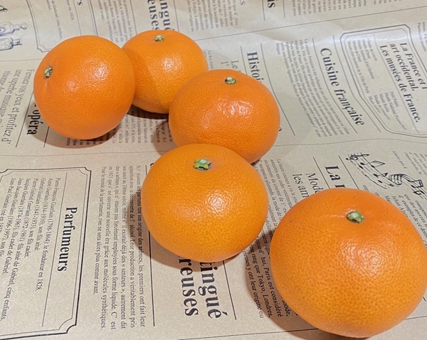 せとか 約1.7kg 12玉 みかんのおと みかん 愛媛 先行予約 【2026年4月以降発送】 数量限定 愛媛県産 人気 柑橘 伊予市｜B309