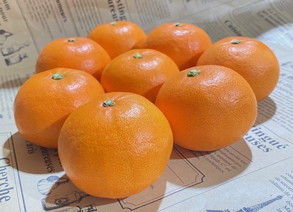 せとか 約1.4kg 12玉 みかんのおと みかん 愛媛 先行予約 【2026年4月以降発送】 数量限定 愛媛県産 人気 柑橘 伊予市｜B322