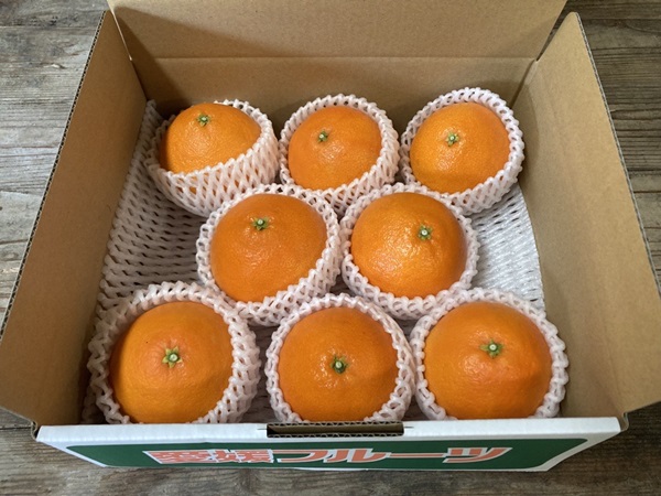 愛果28号 2kg みかん 紅まどんなと同一品種 農園直送 先行予約 12月から順次発送 愛媛 数量限定 愛媛県産 人気 柑橘 伊予市｜B333