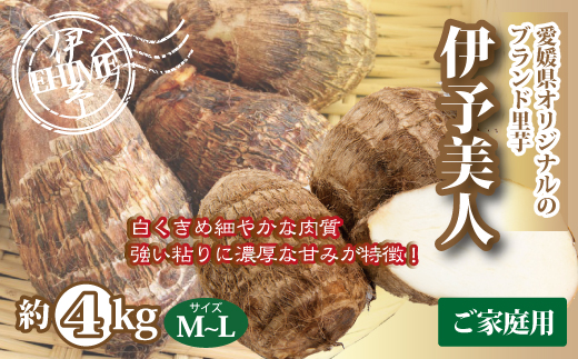 里芋 4kg 伊予美人 さといも サイズ 不揃い ご家庭用 芋 いも 煮付け 芋炊き 芋煮 野菜 数量限定 国産 愛媛｜B357