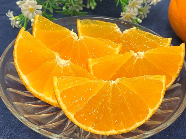 みかん 愛媛 愛果28号（ハウス栽培）5kg 紅まどんなと同一品種 家庭用 サイズミックス 【2025年12月中旬から順次配送予定】 人気 数量限定 柑橘 伊予市｜B40