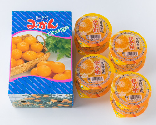 みかん 愛媛 ハウスみかん＆伊予柑ゼリー 【先行予約】 【2024年7月発送】 人気 数量限定 柑橘 伊予市｜B41