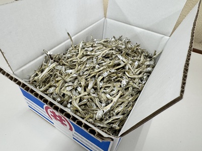 伊予煮干 いりこ 1kg 【10月以降発送】 伊予灘産 瀬戸内海 出汁 料理 おやつ カルシウム 健康 サクサク食感 海の幸 海産物 乾物 魚介類 おつまみ 保存食 特産品 愛媛 伊予市｜B421