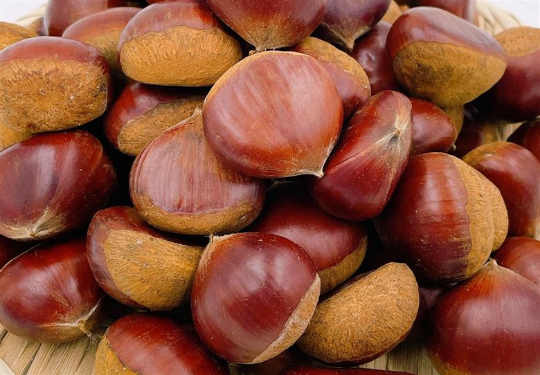 中山栗 L～4Lサイズ 1kg 愛媛県ブランド 大粒 濃厚な甘み ホクホク 焼き栗 栗ごはん 中山町 伊予市 愛媛 | B423